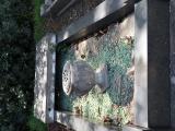 image of grave number 827898
